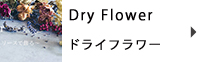 ドライフラワー