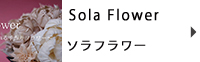 ソラフラワー