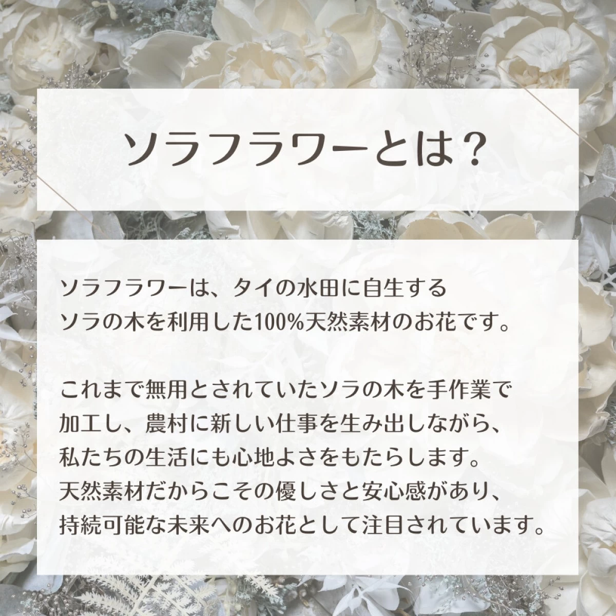 【SDGs】ドーム アレンジ ソラフラワー