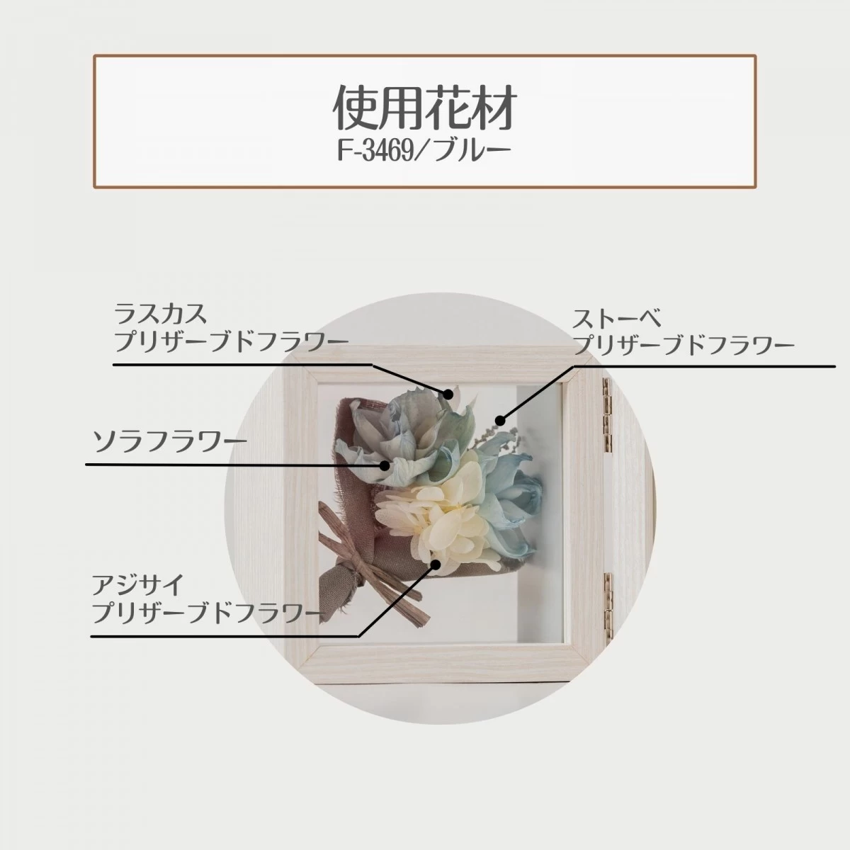 【SDGs】トランスペアレント S　ソラフラワー　ブルー