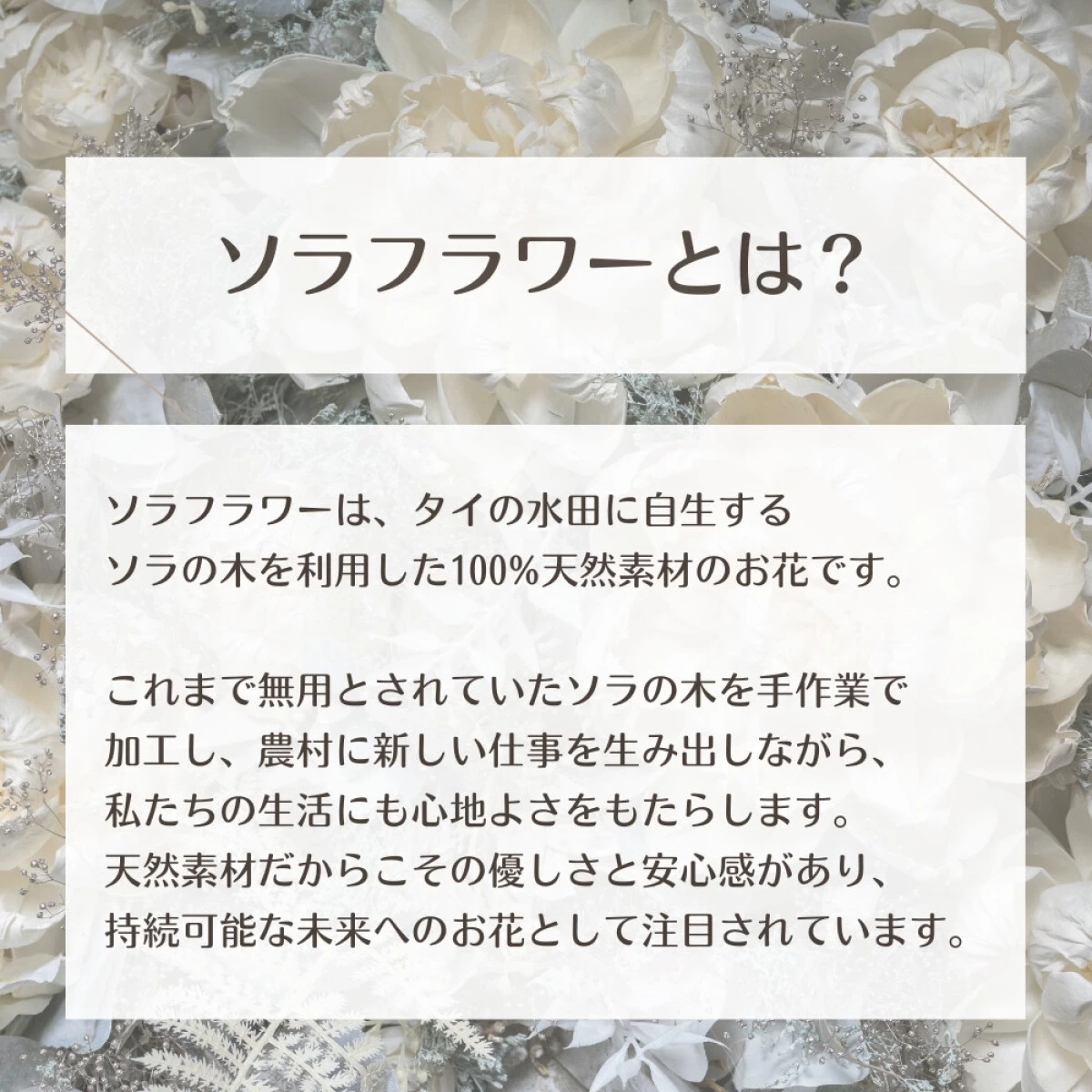 【SDGs】トランスペアレント S　ソラフラワー　ブルー