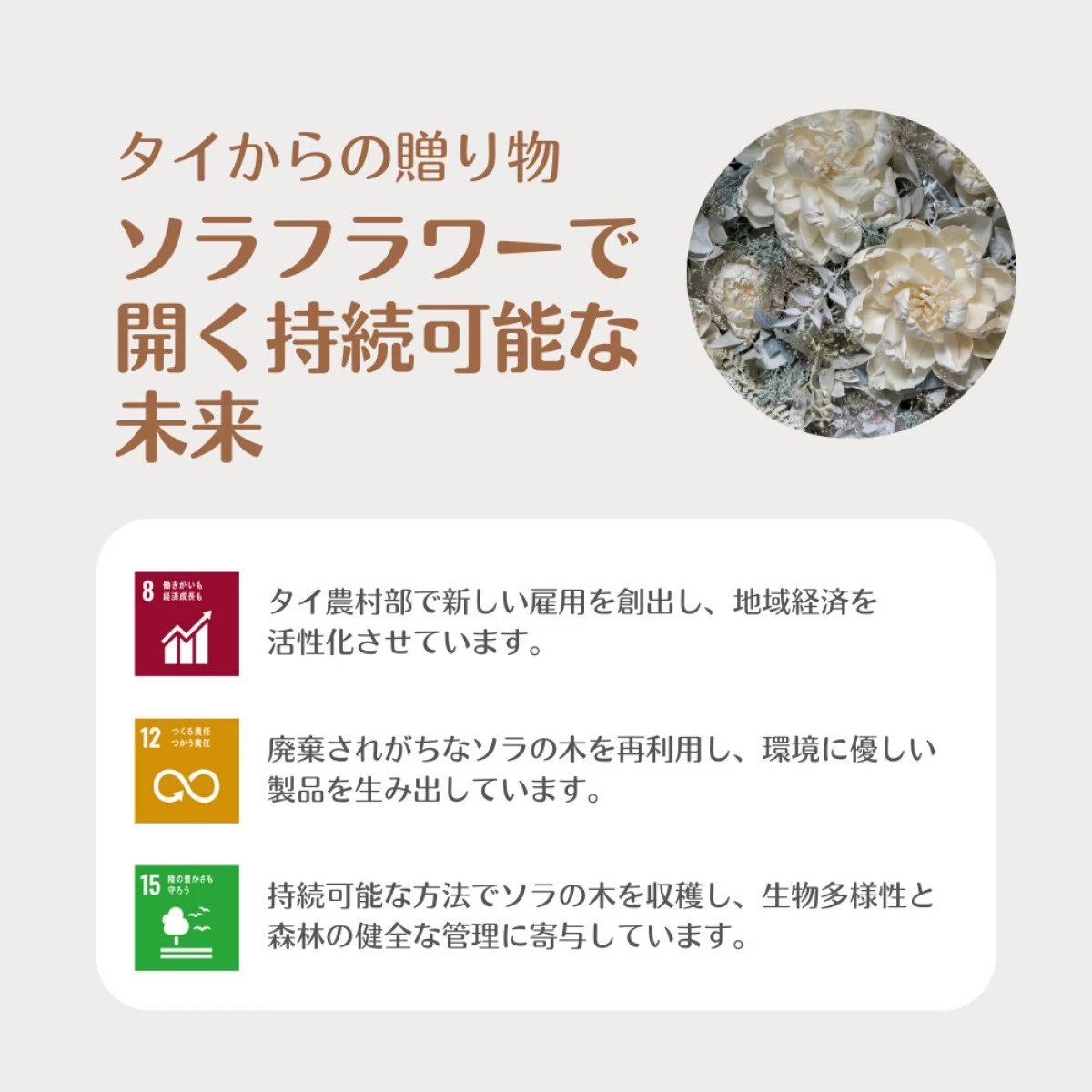 【SDGs】トランスペアレント S　ソラフラワー　ブルー